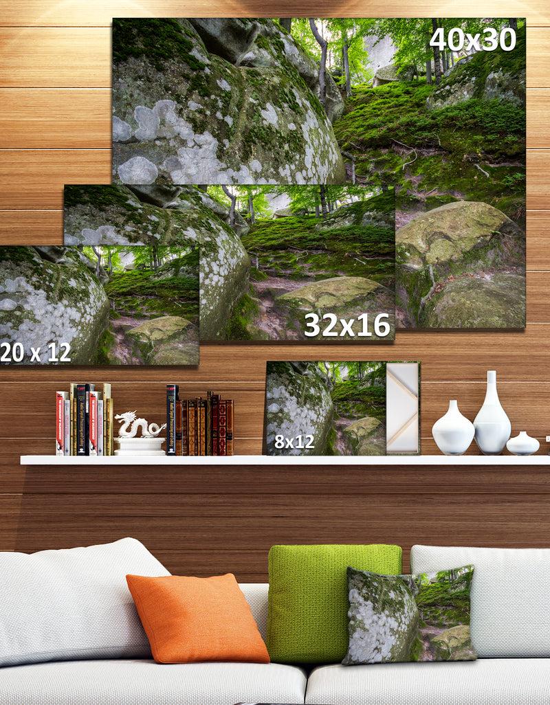 DesignQ Large Rocks In Deep Moss Forest - Landscape Art Print Canvas
