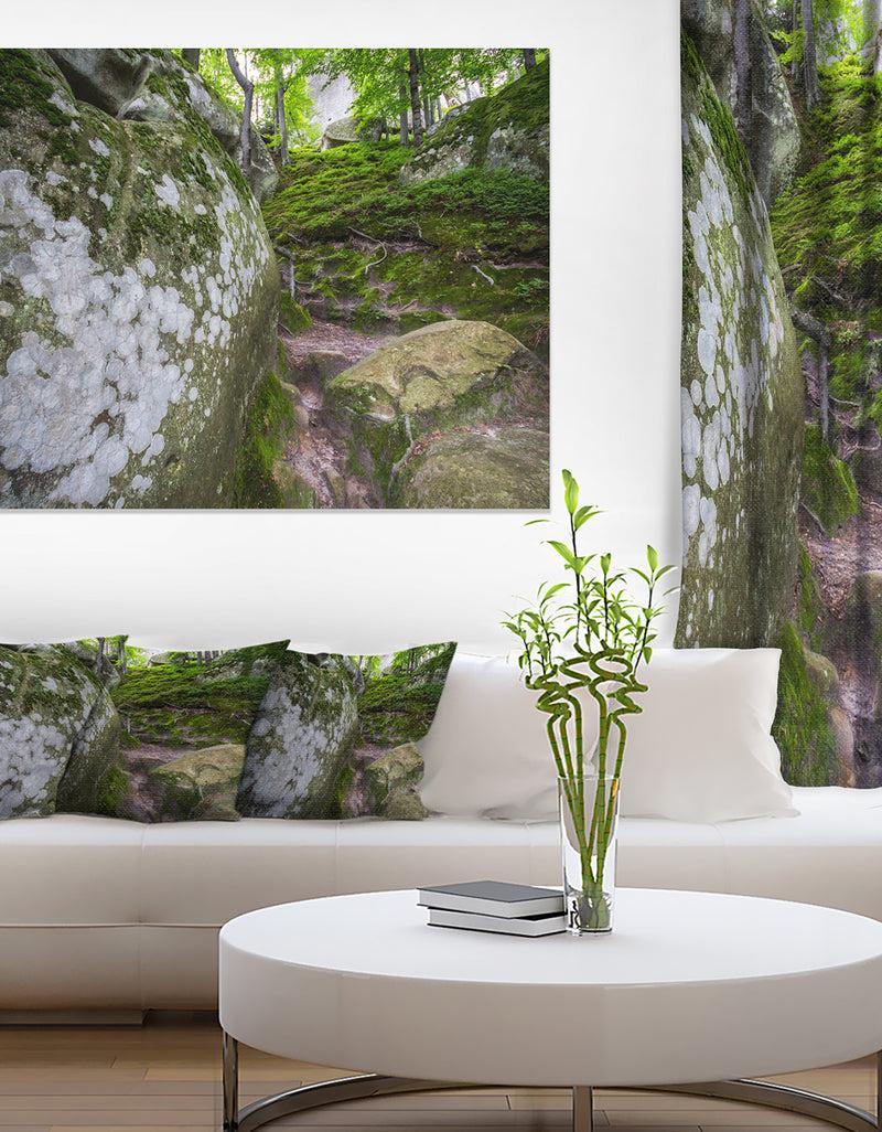 DesignQ Large Rocks In Deep Moss Forest - Landscape Art Print Canvas