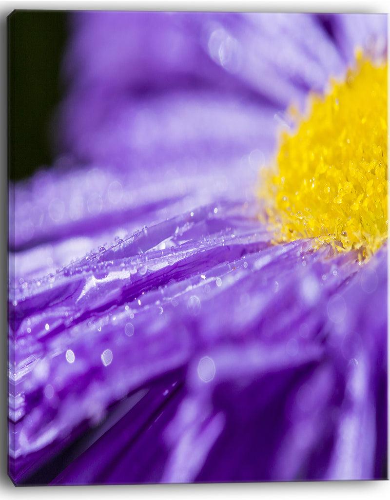 DesignQ Large Violet Flower Petal Close-up - Large Flower Canvas Wall Art