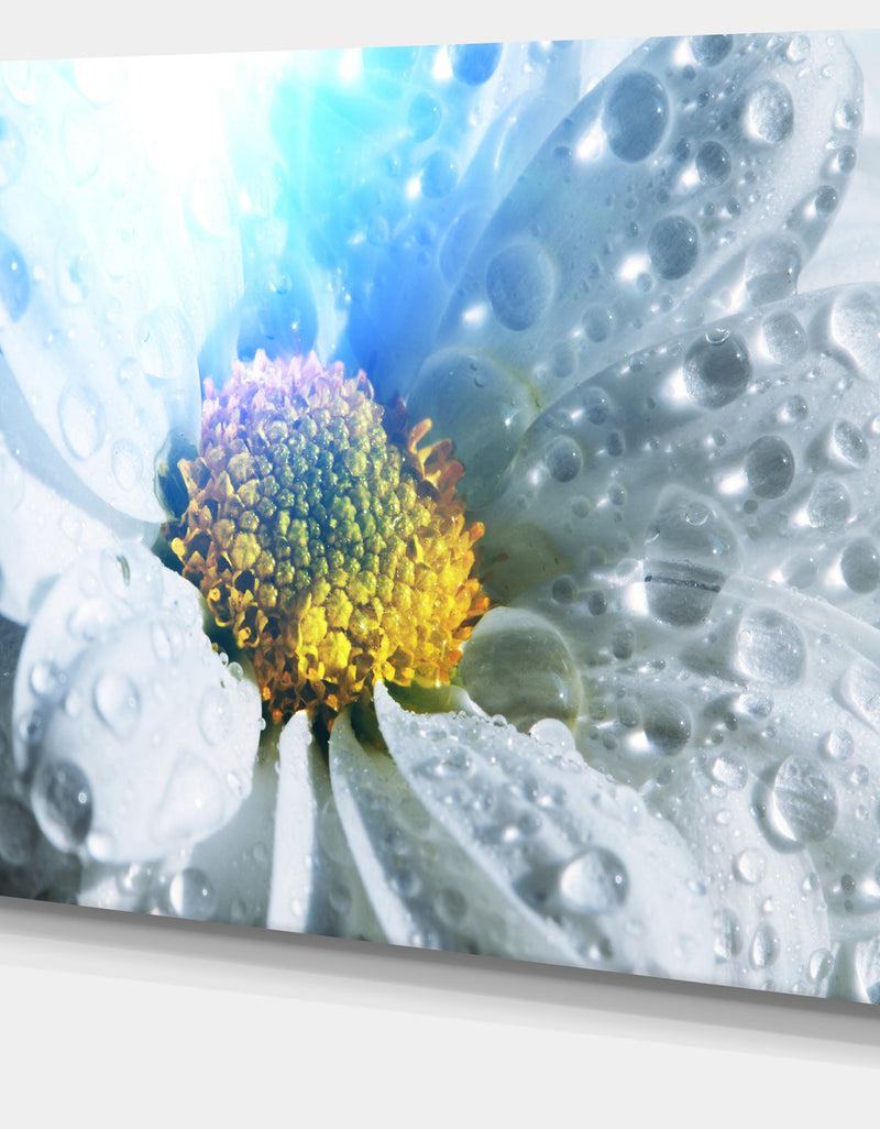 DesignQ Large White Flower With Raindrops - Modern Flower Canvas Art Print