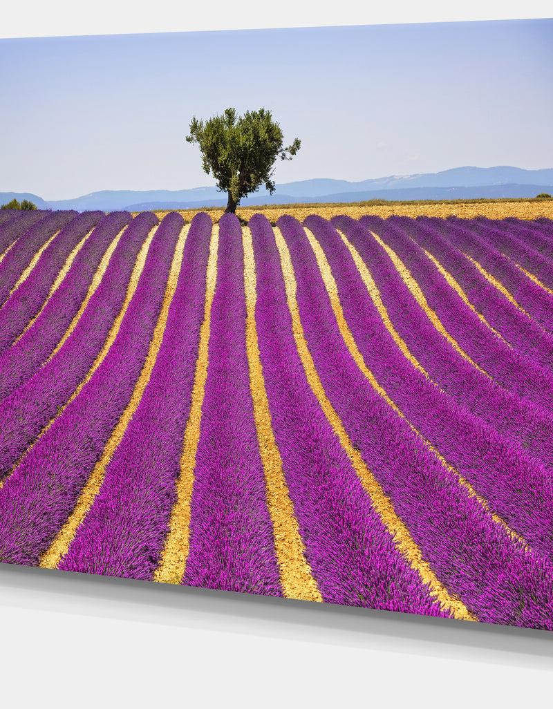 DesignQ Lavender And Lonely Tree Uphill - Oversized Landscape Wall Art Print