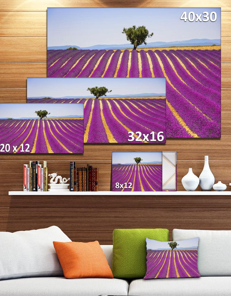 DesignQ Lavender And Lonely Tree Uphill - Oversized Landscape Wall Art Print