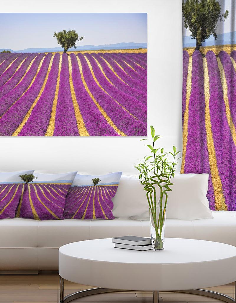 DesignQ Lavender And Lonely Tree Uphill - Oversized Landscape Wall Art Print