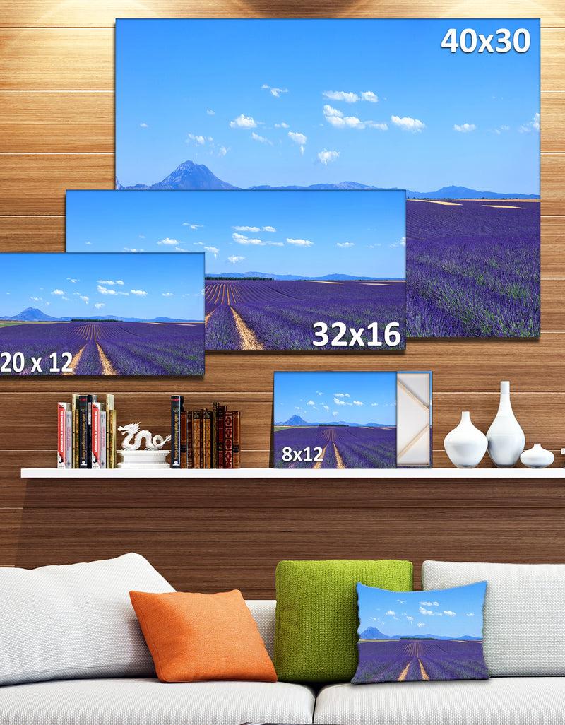 DesignQ Lavender Blooming Fields And Trees - Oversized Landscape Wall Art Print