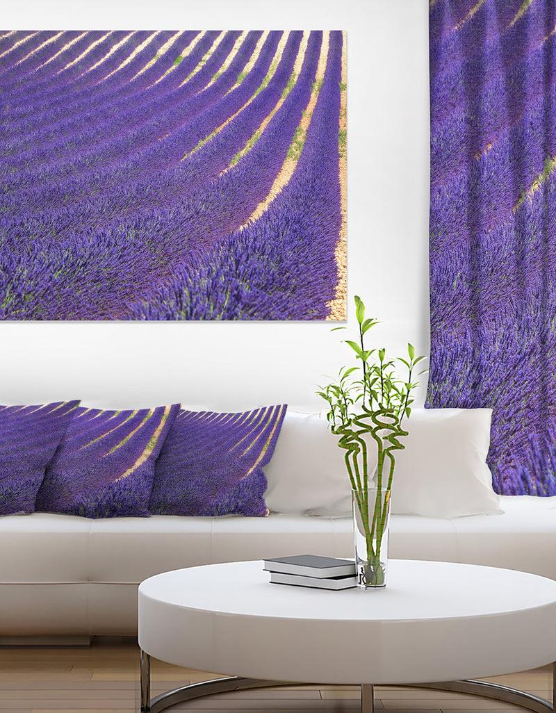 DesignQ Lavender Blooming Fields As Texture - Oversized Landscape Wall Art Print