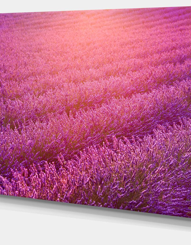 DesignQ Lavender Field And Ray Of Light - Floral Canvas Wall Art