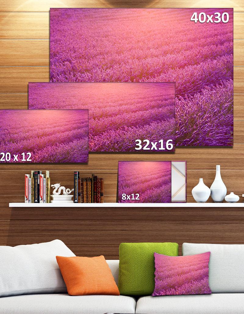 DesignQ Lavender Field And Ray Of Light - Floral Canvas Wall Art