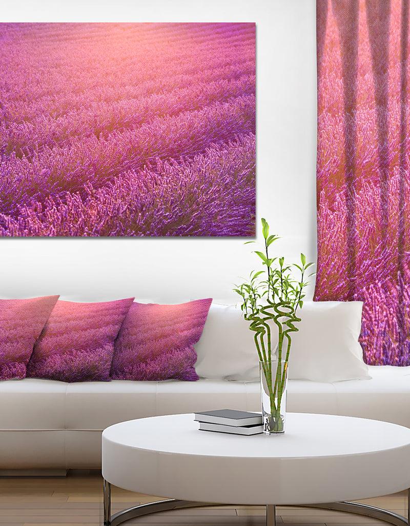DesignQ Lavender Field and Ray of Light - Floral Canvas Wall Art