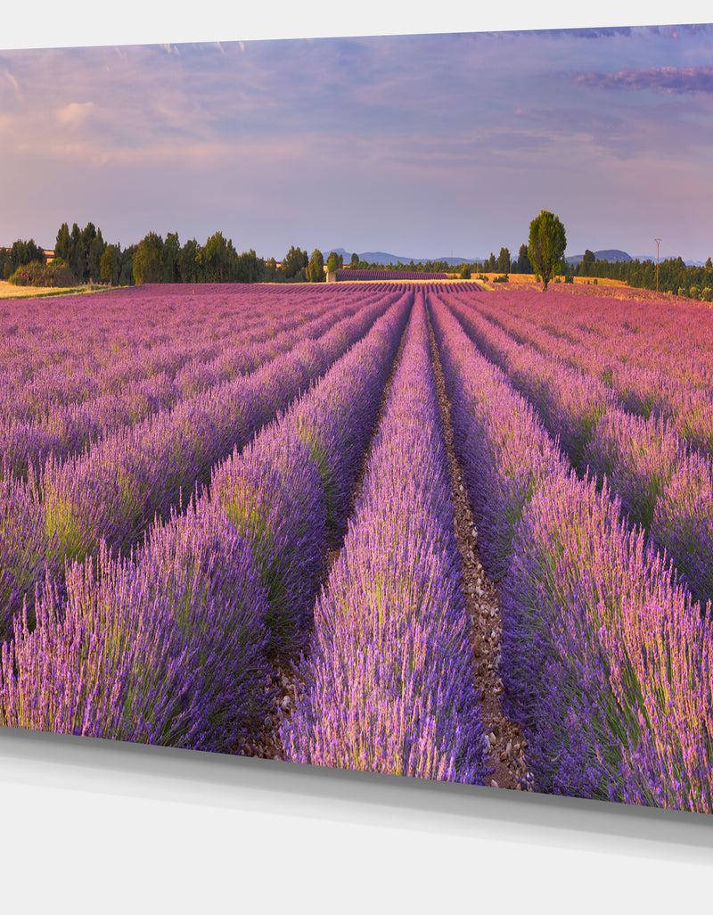DesignQ Lavender Flower Rows In France - Landscape Art Canvas Print
