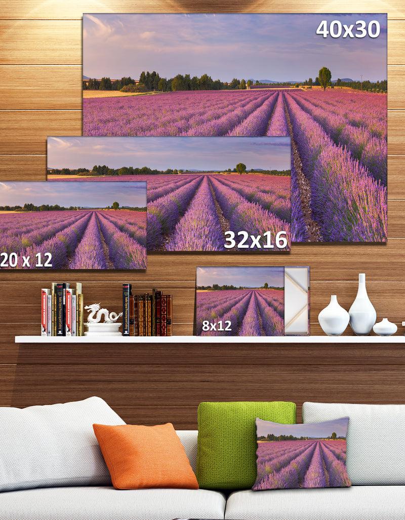 DesignQ Lavender Flower Rows In France - Landscape Art Canvas Print