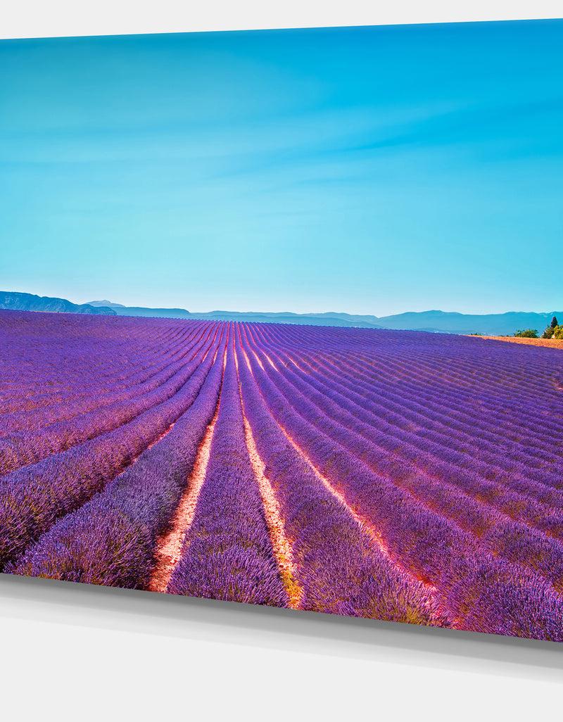 DesignQ Lavender Flowers And Clear Sky - Oversized Landscape Wall Art Print