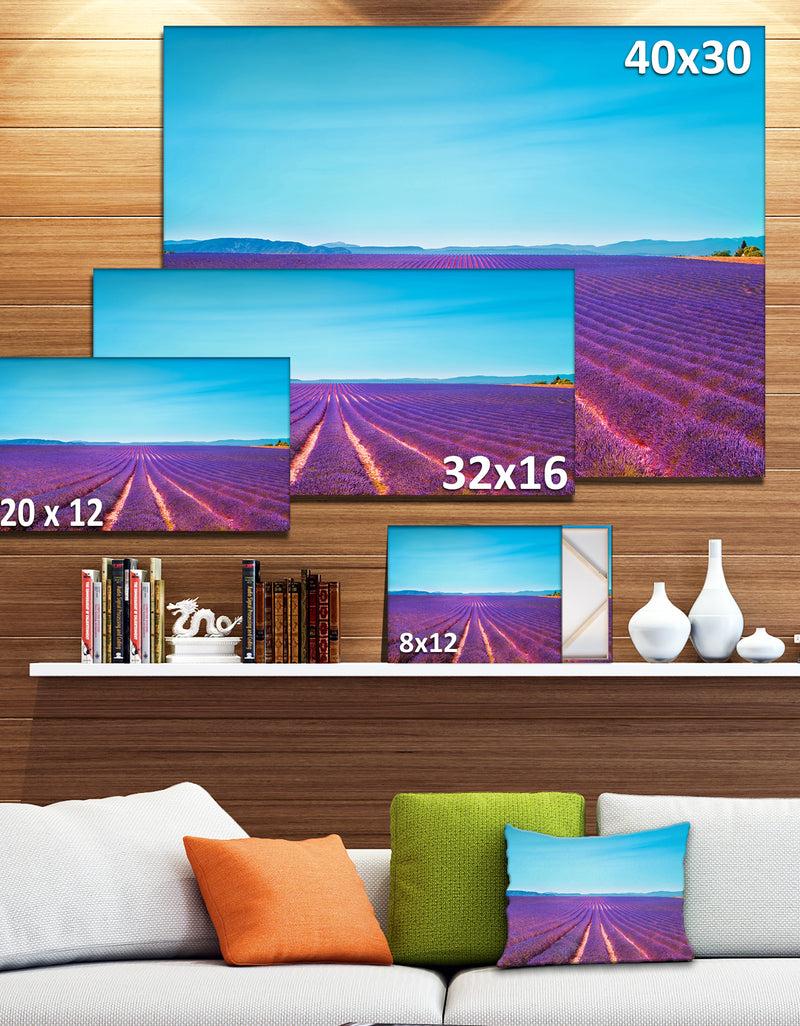 DesignQ Lavender Flowers And Clear Sky - Oversized Landscape Wall Art Print