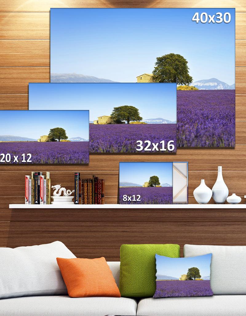 DesignQ Lavender Flowers Blooming Field - Oversized Landscape Wall Art Print