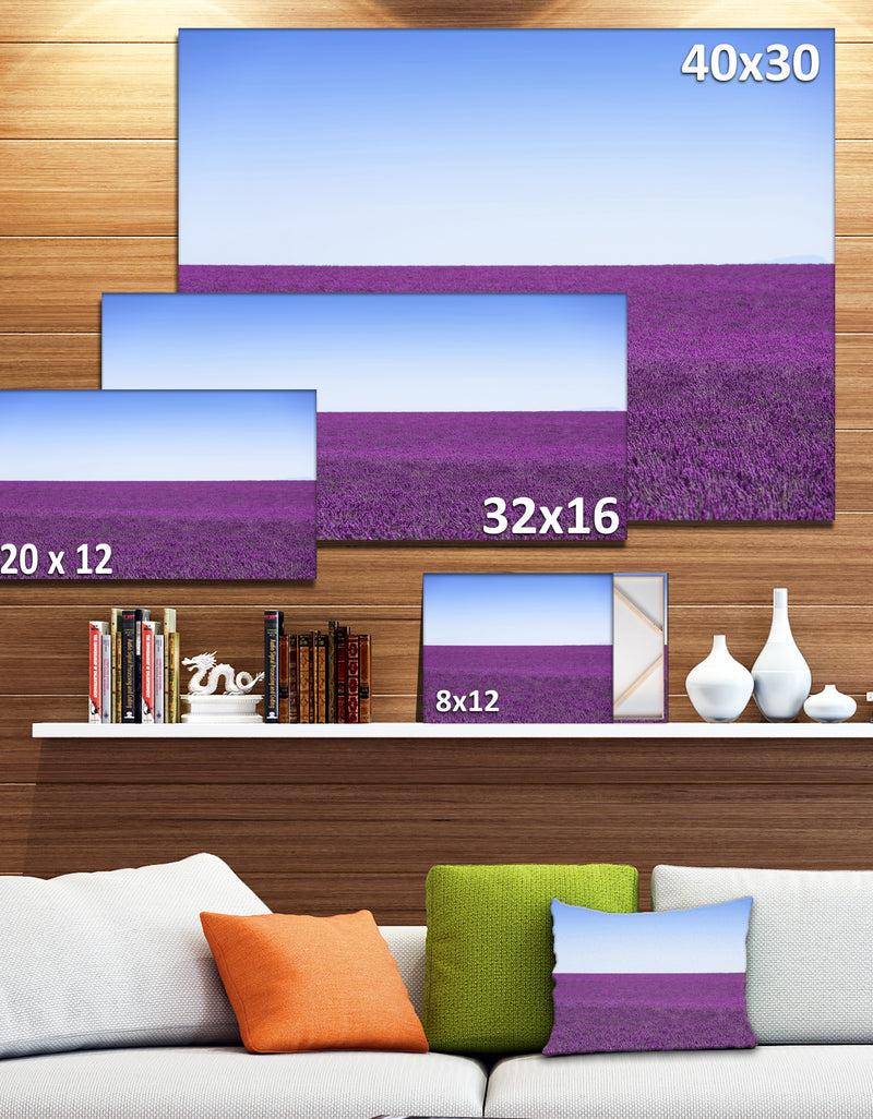 DesignQ Lavender Flowers With Blue Horizon - Oversized Landscape Wall Art Print