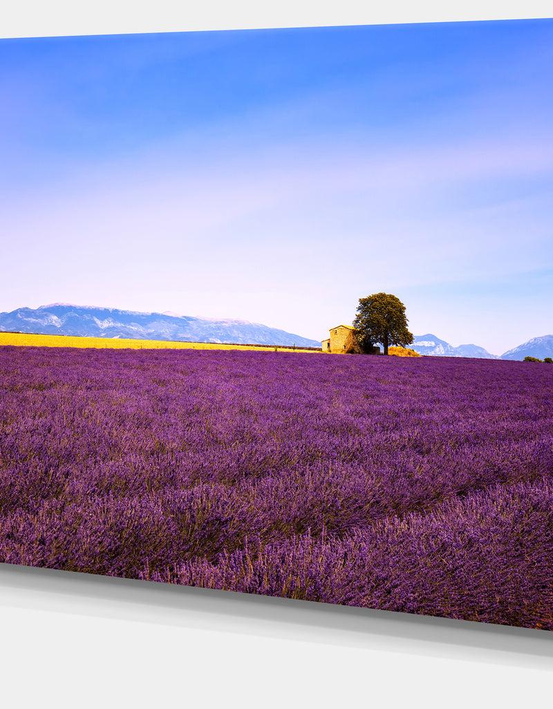 DesignQ Lavender Flowers With Old House - Oversized Landscape Wall Art Print