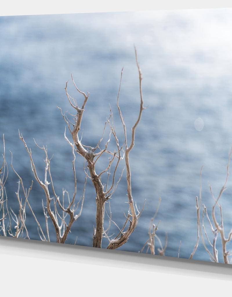 DesignQ Leafless Winter Branches - Landscape Wall Art On Canvas