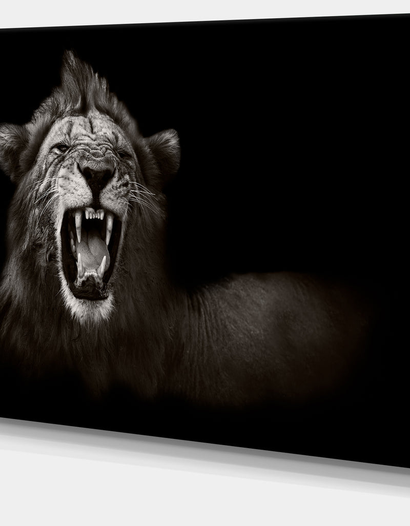 DesignQ Lion Displaying Fiery Face - Animal Digital Art Canvas Print