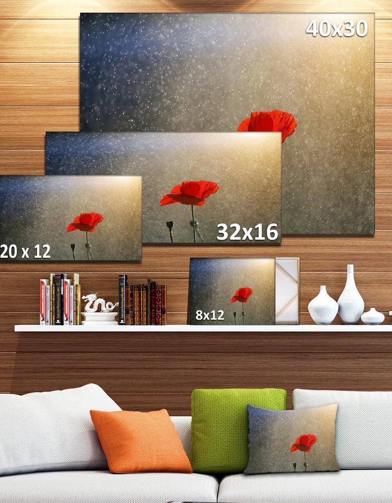 DesignQ Lone Red Puppy Flower Under Lights - Flowers Canvas Wall Artwork
