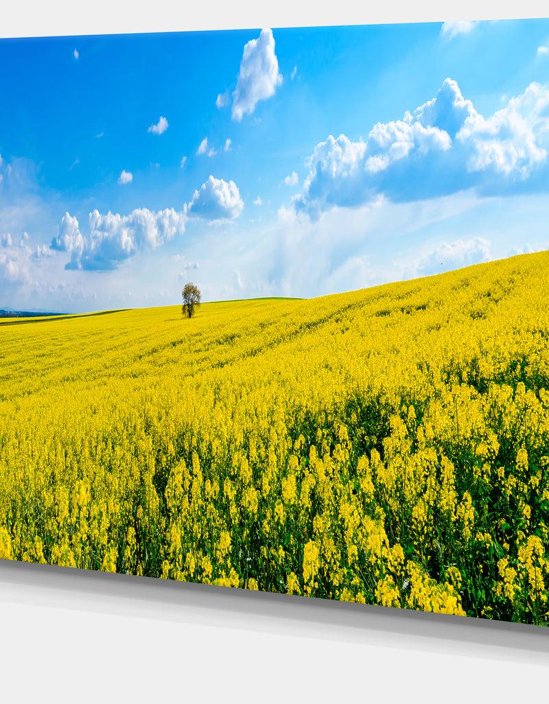 DesignQ Lone Tree In Blooming Cozla Park - Contemporary Landscape Canvas Art