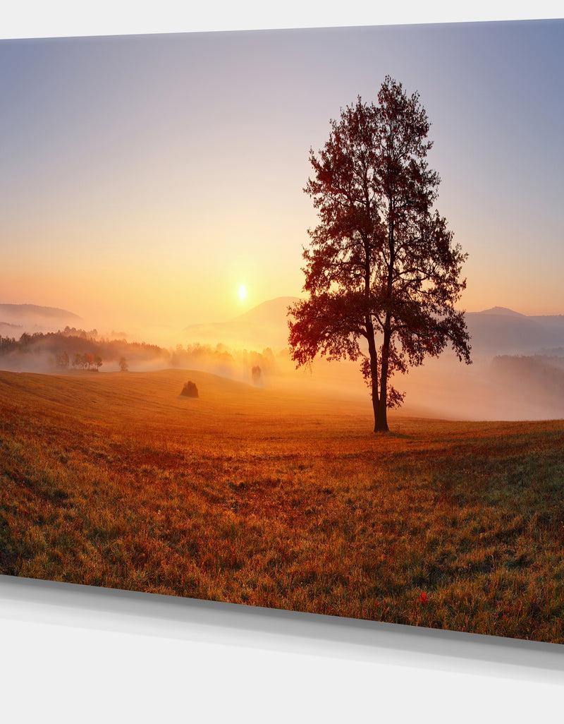 DesignQ Lonely Tree At Sunset - Landscape Photography Canvas Print
