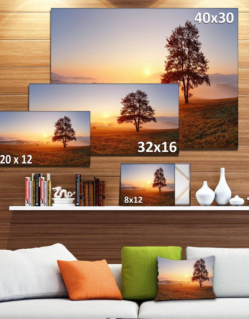 DesignQ Lonely Tree At Sunset - Landscape Photography Canvas Print
