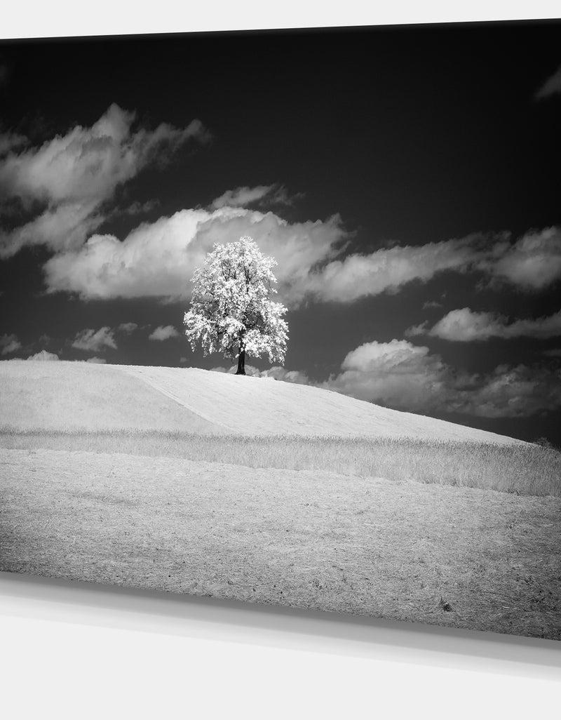 DesignQ Lonely Tree On Meadow Black White - Landscape Artwork Canvas