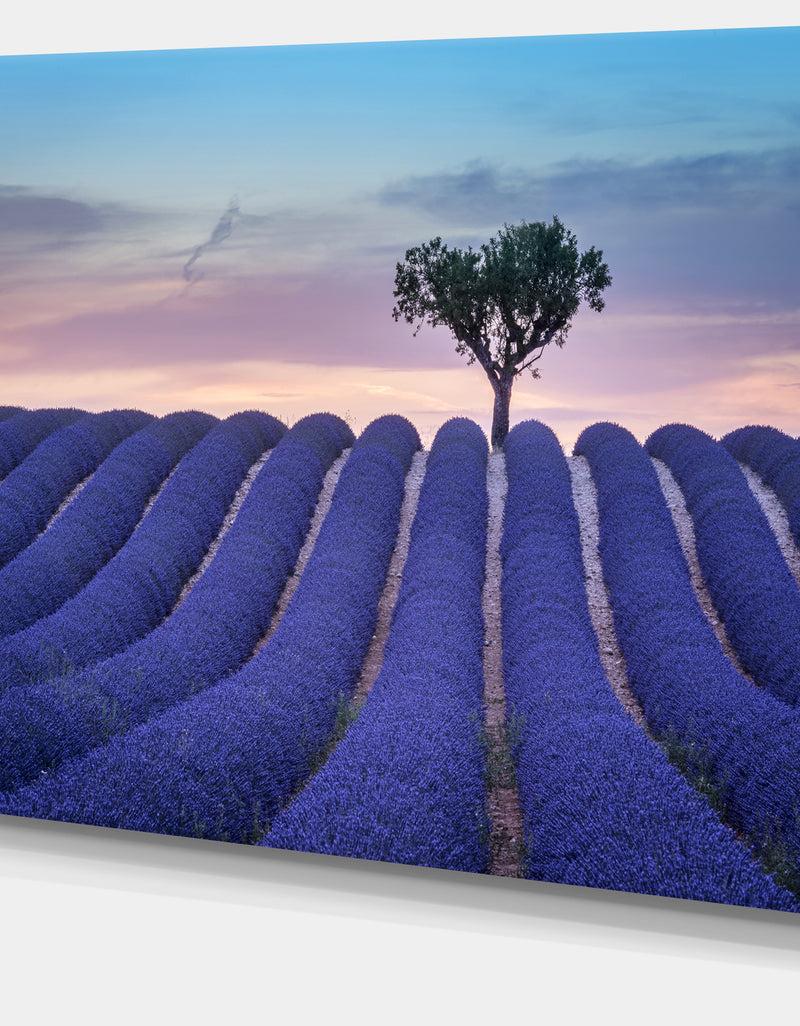 DesignQ Lonely Trees Uphill On Sunset - Landscape Wall Artwork