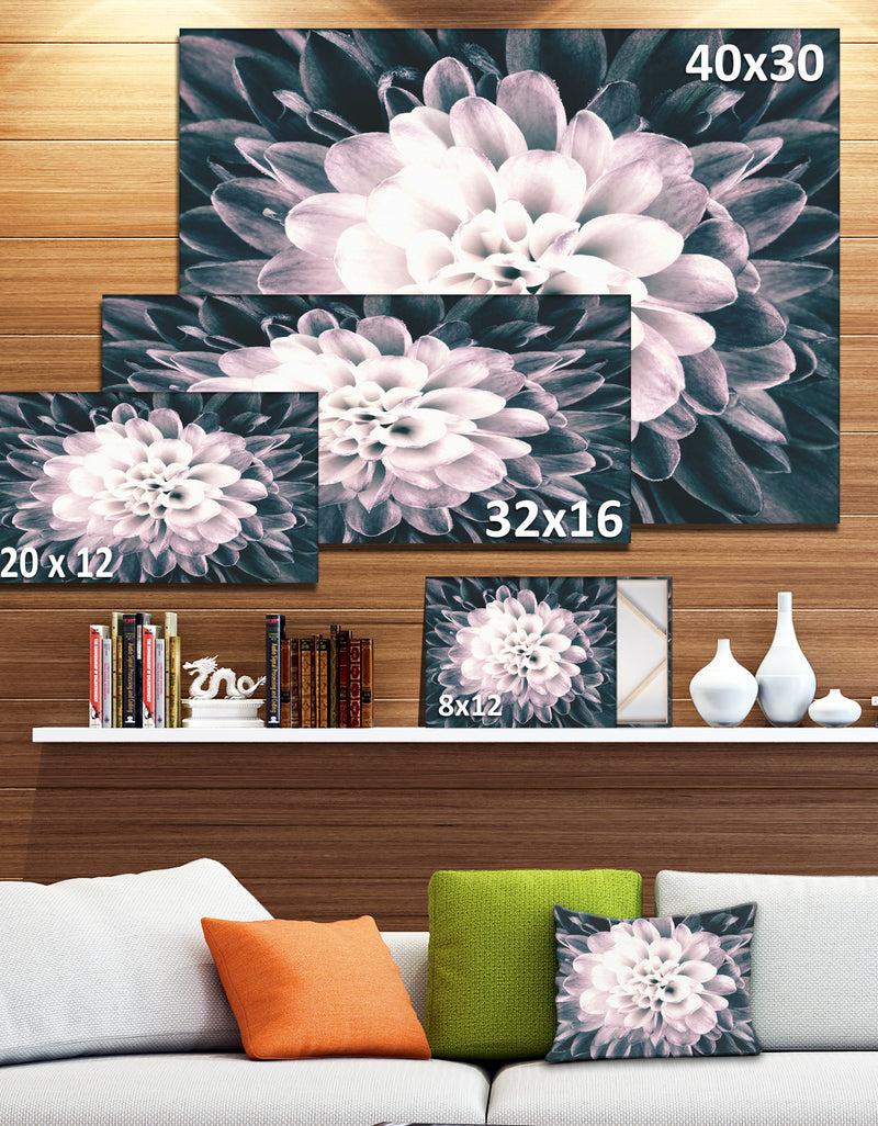 DesignQ Macro Chrysanthemum Flower - Flowers Canvas Wall Artwork