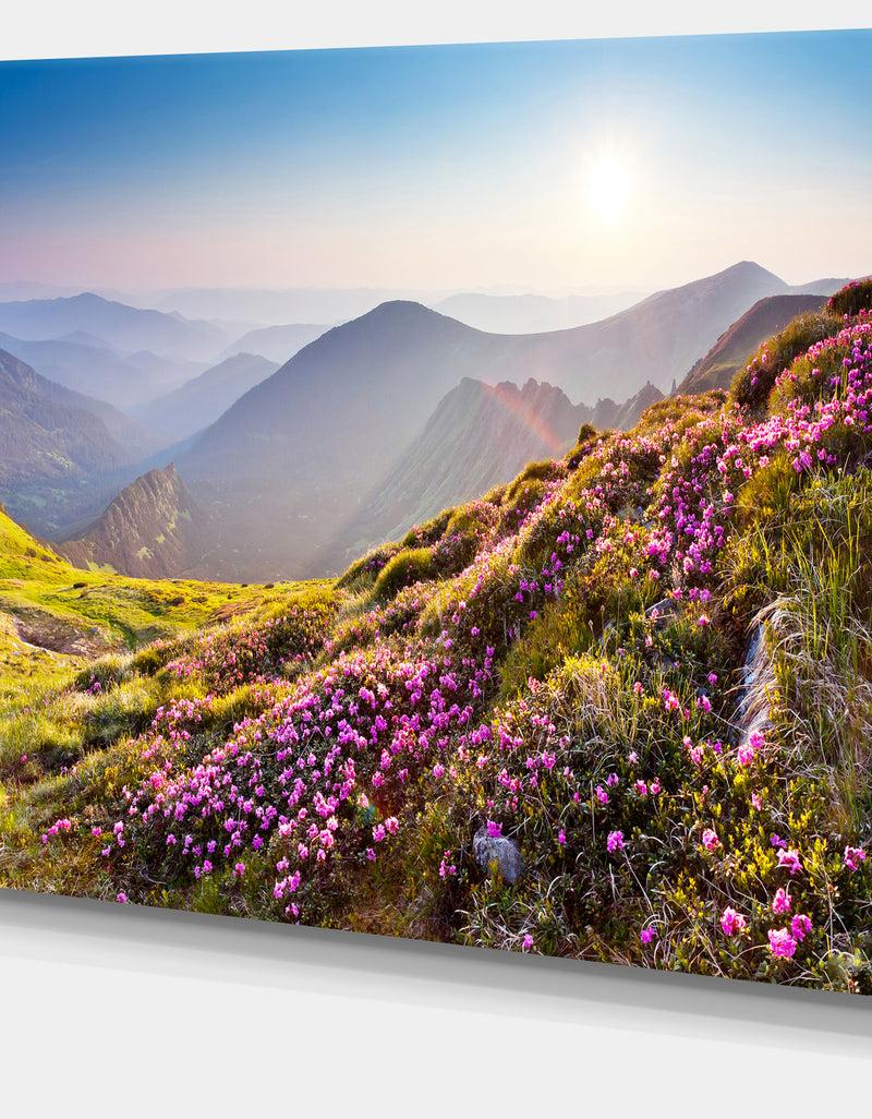 DesignQ Magic Pink Flowers On Mountains - Landscape Photo Canvas Print