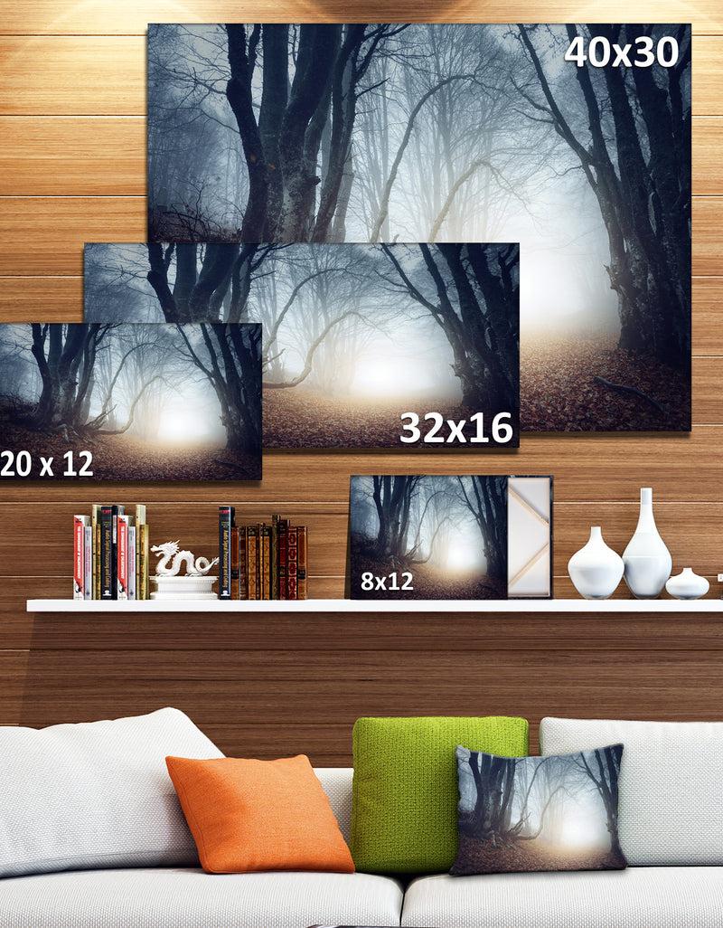 DesignQ Magical Trees In Mysterious Forest - Modern Forest Canvas Wall Art