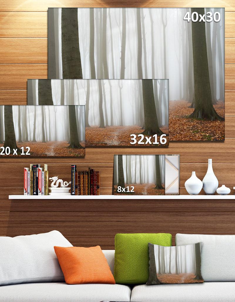 DesignQ Misty Autumn Beech Forest - Landscape Photo Canvas Print