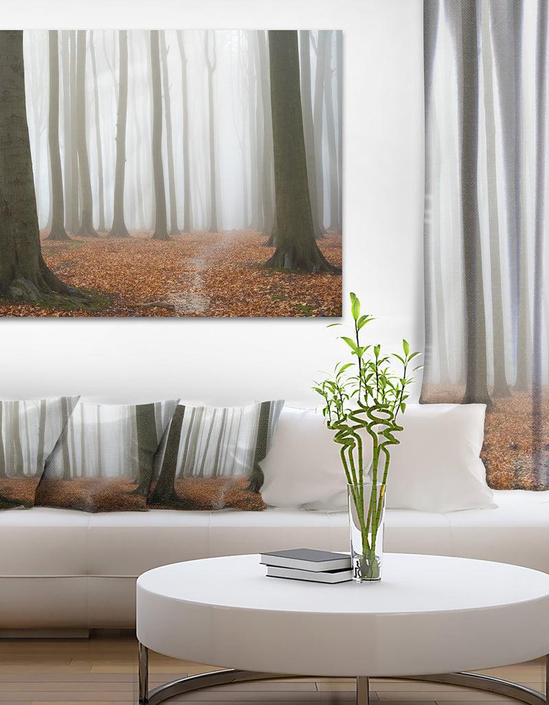 DesignQ Misty Autumn Beech Forest - Landscape Photo Canvas Print