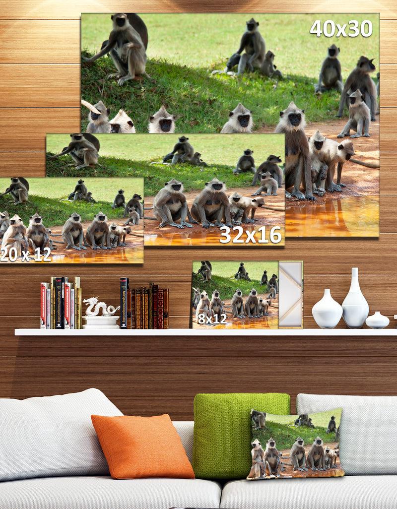 DesignQ Monkeys In Sri Lanka - African Canvas Artwork