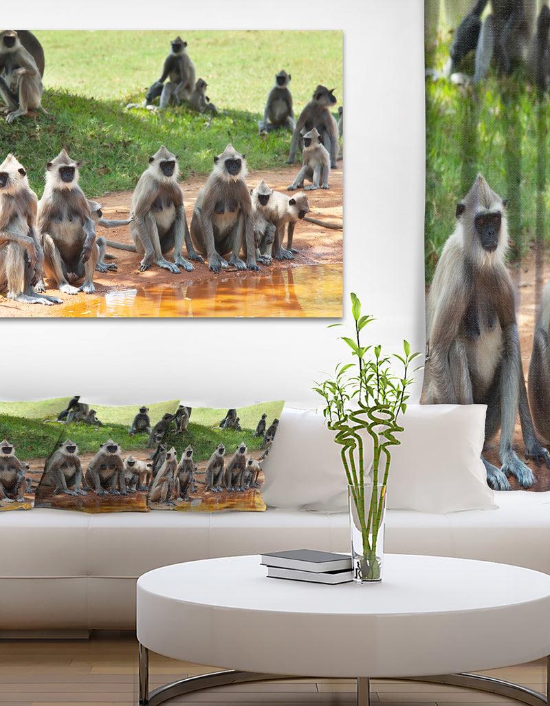 DesignQ Monkeys In Sri Lanka - African Canvas Artwork