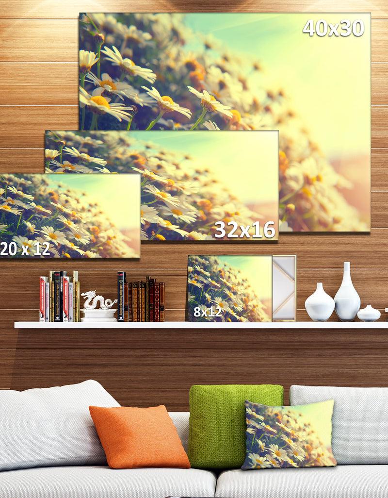 DesignQ Nature With Blooming Chamomiles - Large Floral Wall Art Canvas