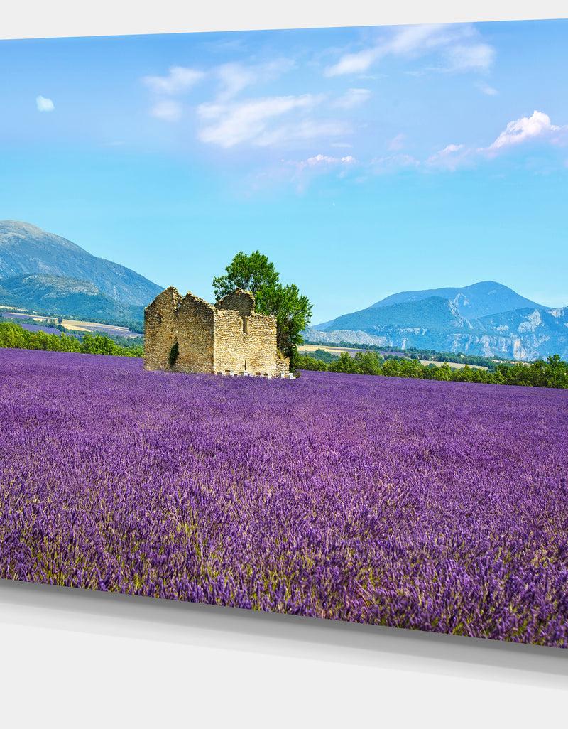 DesignQ Old House And Tree In Lavender Field - Oversized Landscape Wall Art Print