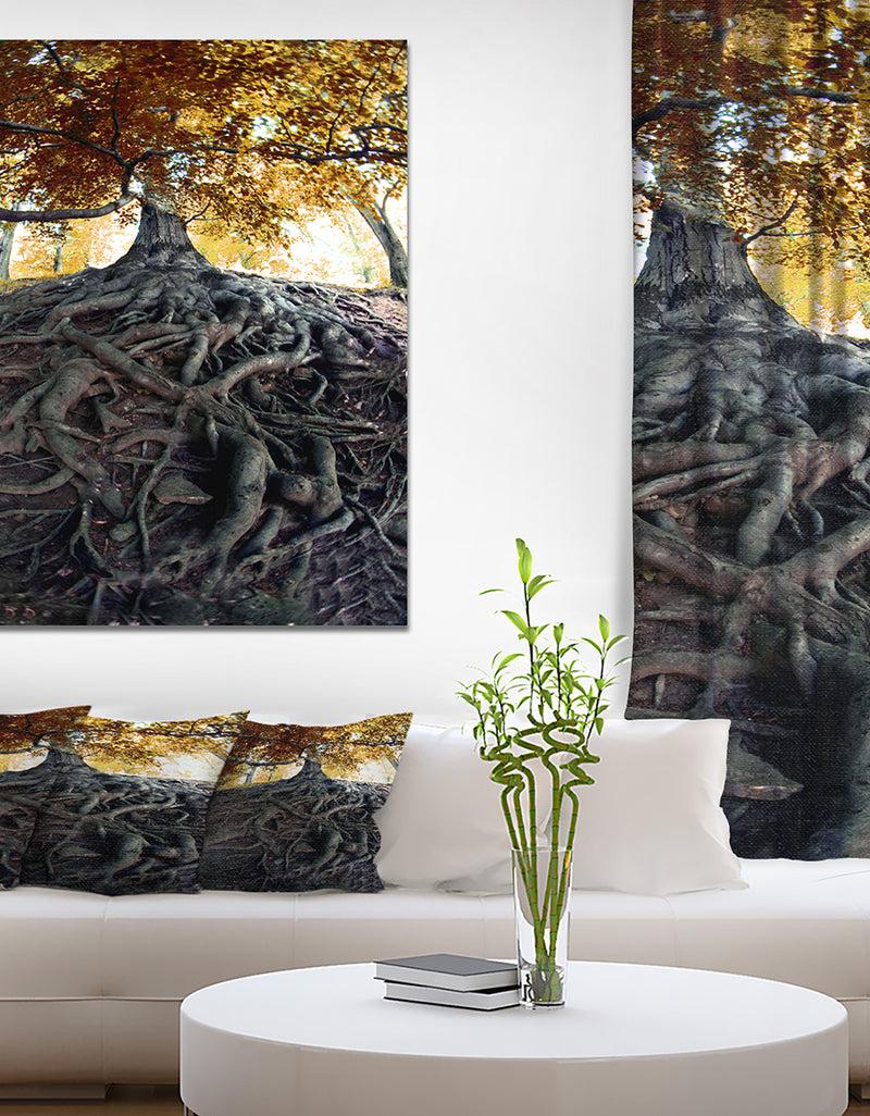 DesignQ Old Tree In Czech Forest - Landscapes Contemporary On Wrapped Canvas