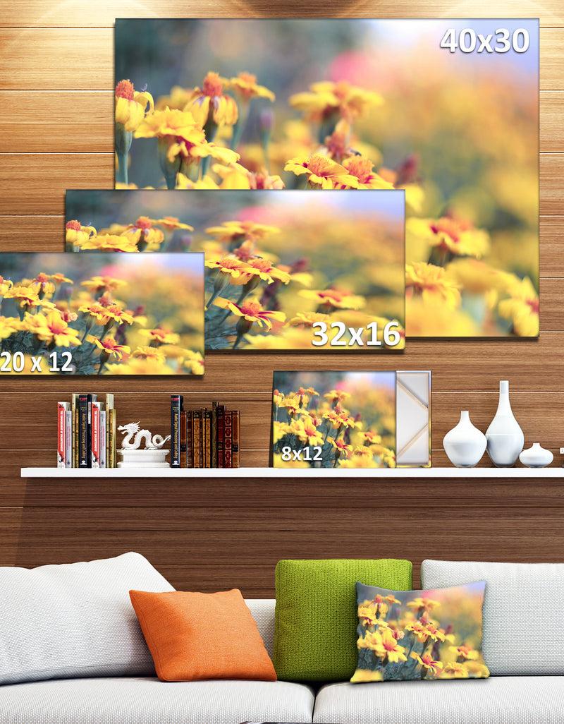 DesignQ Pale Yellow Marigold Flowers - Extra Large Floral Canvas Art