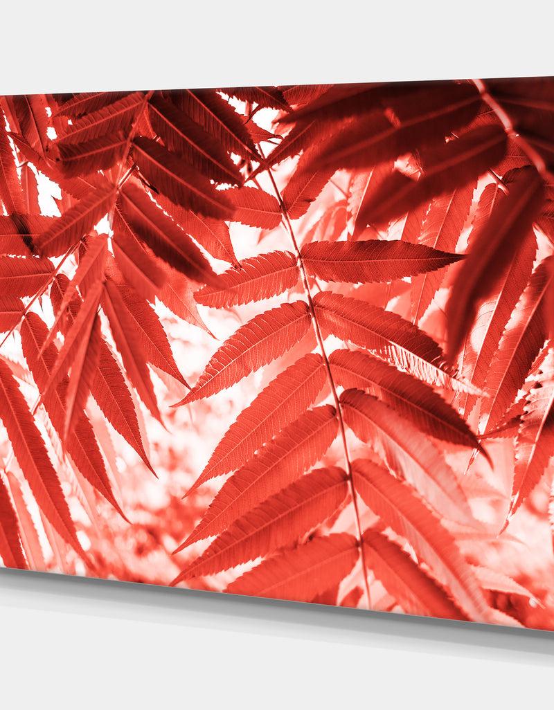 DesignQ Palm Leaves Texture - Tropical Canvas Wall Art