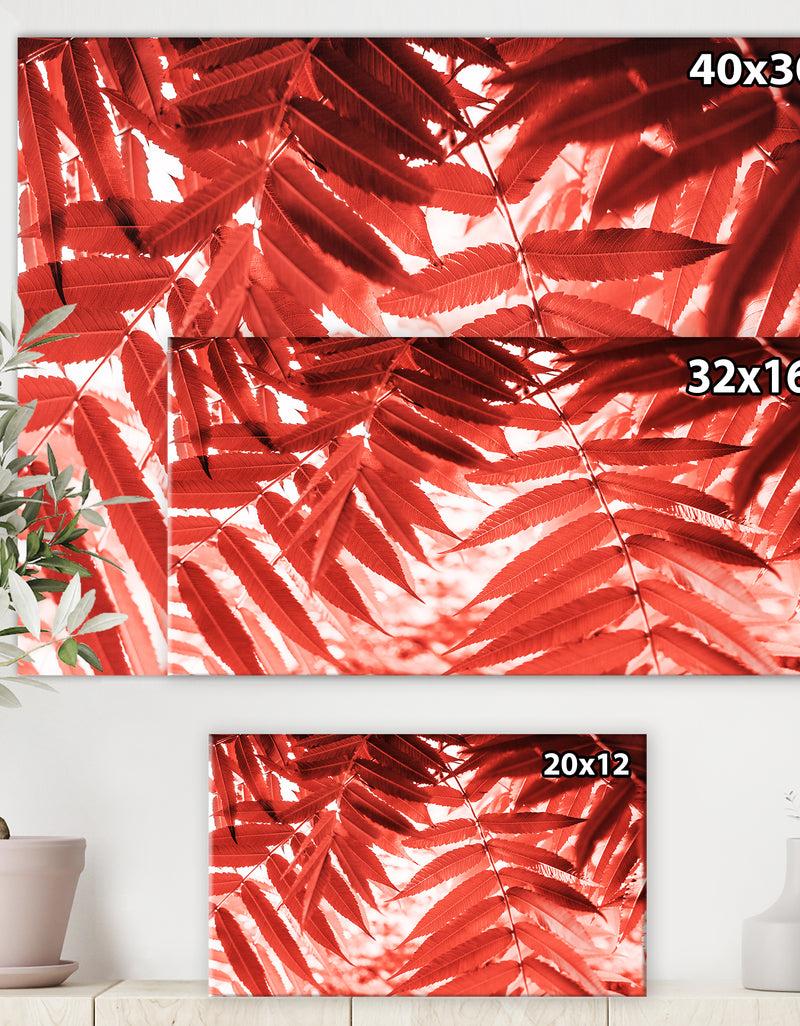 DesignQ Palm Leaves Texture - Tropical Canvas Wall Art