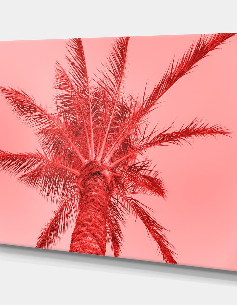 DesignQ Palm Tree On Summer Card - Tropical Canvas Wall Art