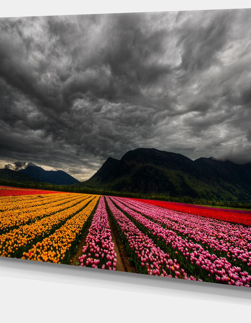DesignQ Parallel Rows Of Colorful Tulips - Landscape Wall Art Print Canvas