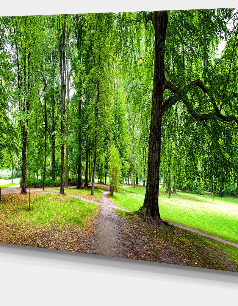 DesignQ Park In Autumn Panorama - Landscape Canvas Wall Artwork