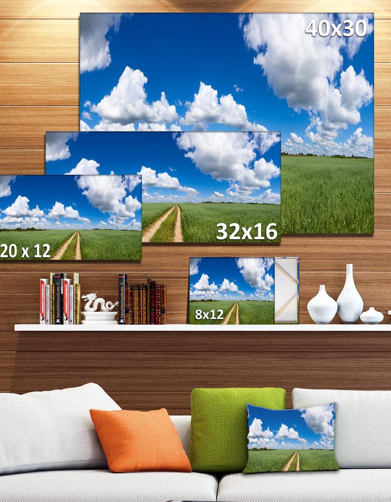 DesignQ Path In Bright Summer Panorama - Modern Landscpae Wall Art