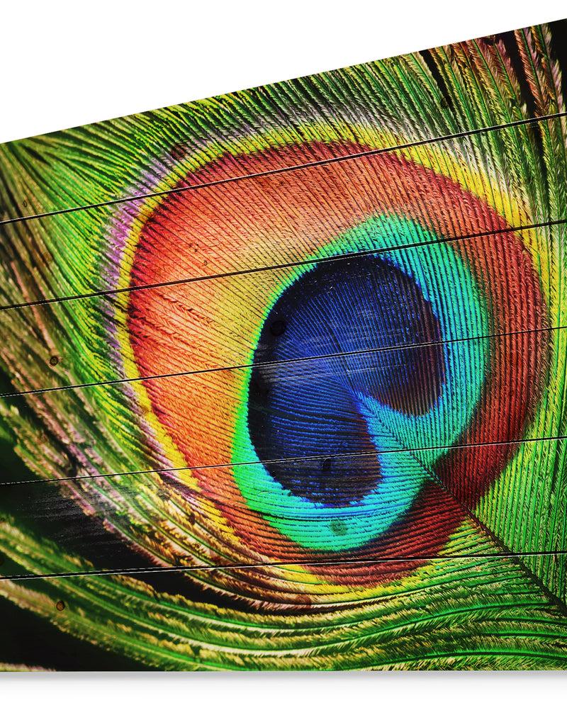 DesignQ Peacock Feather - Photography Print On Natural Pine Wood