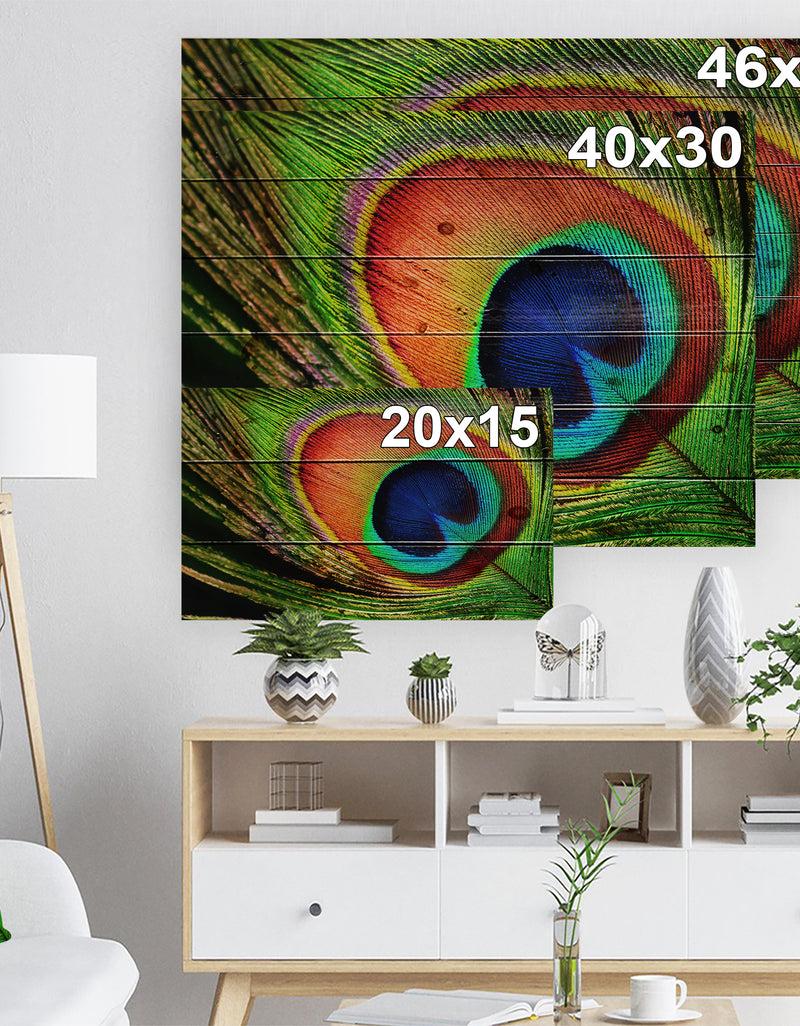 DesignQ Peacock Feather - Photography Print On Natural Pine Wood