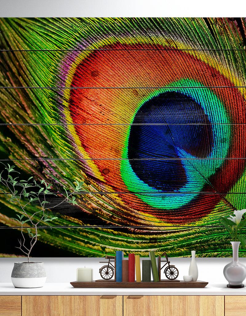 DesignQ Peacock Feather - Photography Print on Natural Pine Wood