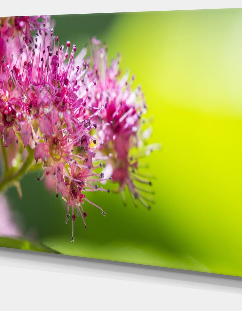 DesignQ Pink Little Flowers In Green - Floral Canvas Art Print