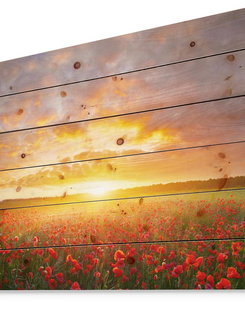 DesignQ Poppy Field Under Bright Sunset - Landscape Print On Natural Pine Wood