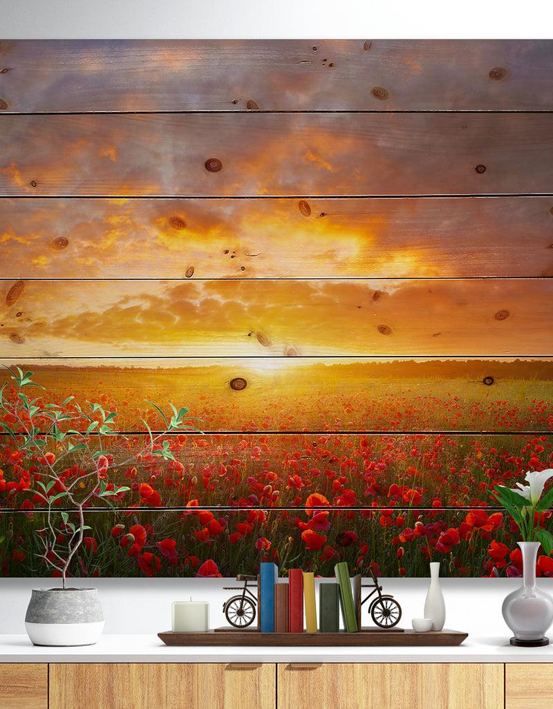 DesignQ Poppy Field under Bright Sunset - Landscape Print on Natural Pine Wood